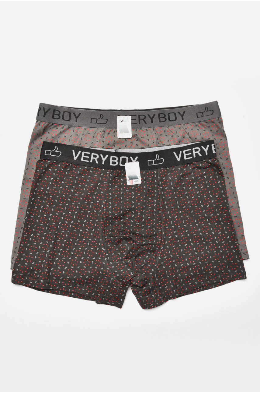 Набор мужских боксеров 2 штуки 6222 205386