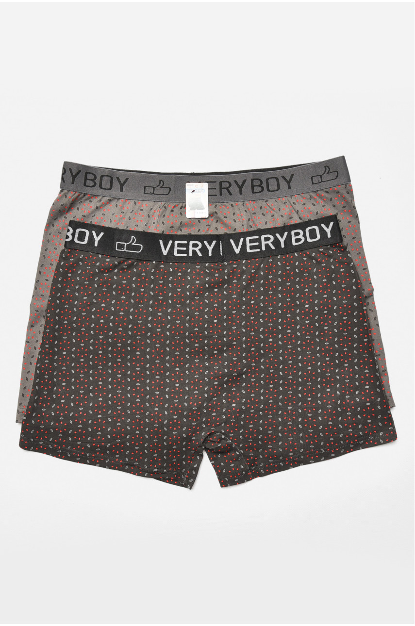 Набор мужских боксеров 2 штуки 6222 205386