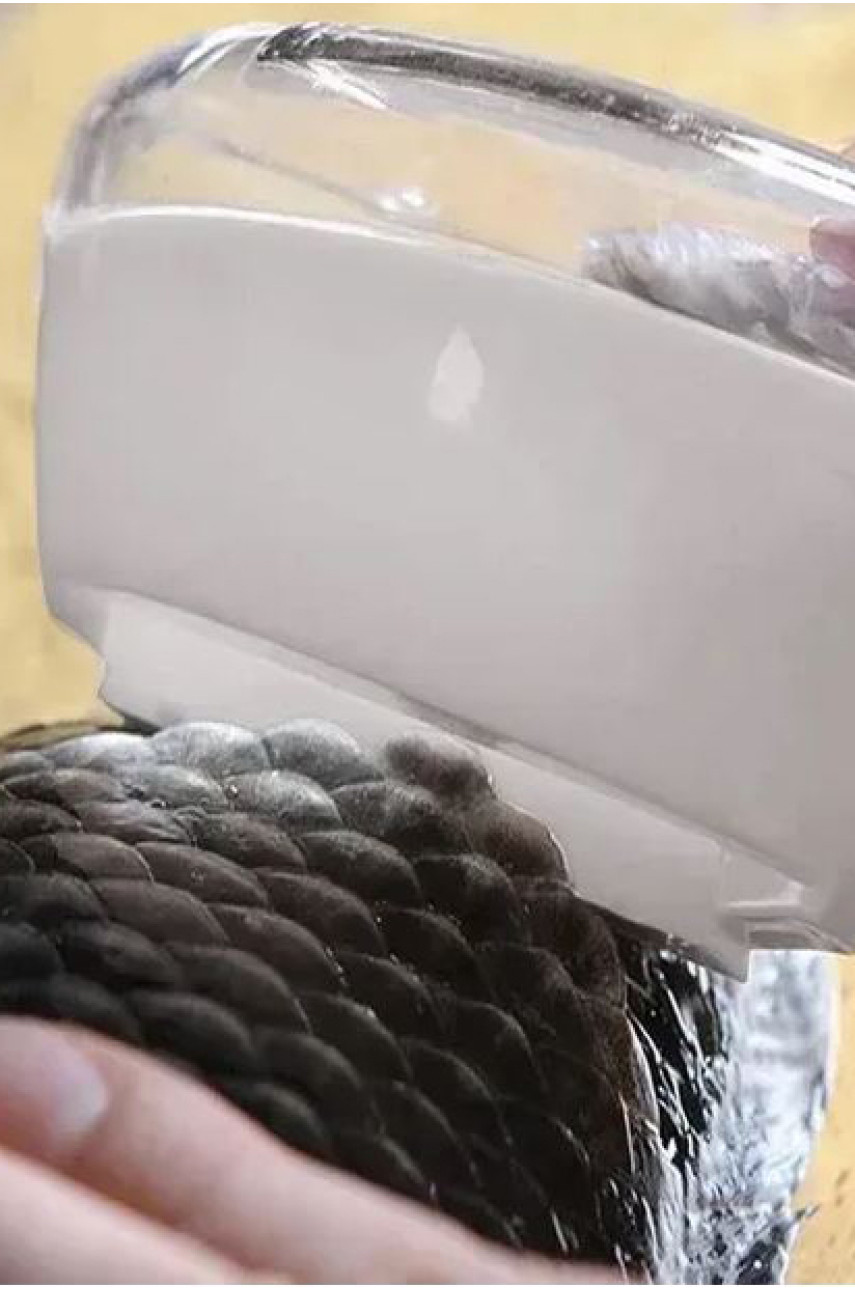 Скребок для очистки рыбы от чешуи с контейнером 205593