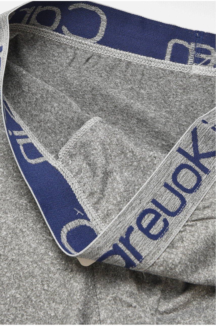 Боксеры мужские серого цвета А1636 205896