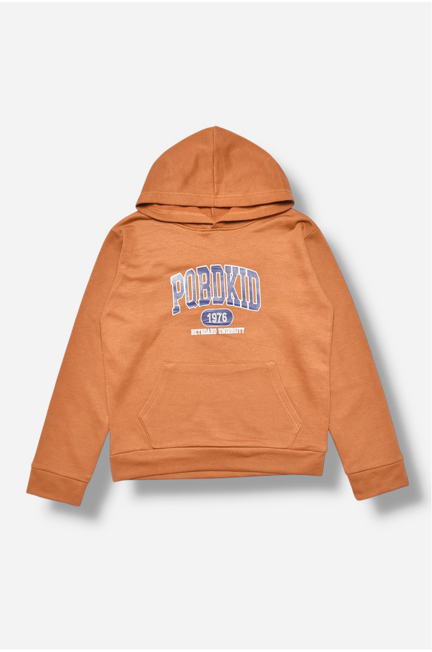 Свитшот детский для мальчика на флисе коричневого цвета 309 205990