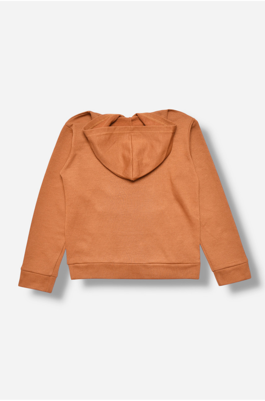 Свитшот детский для мальчика на флисе коричневого цвета 309 205990