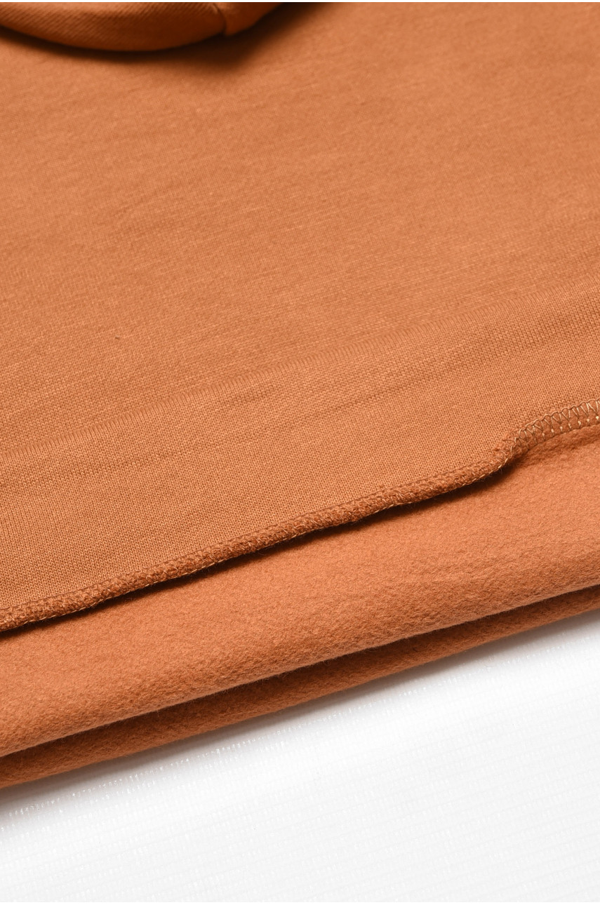 Світшот дитячий для хлопчика на флісі коричневого кольору 309 205990