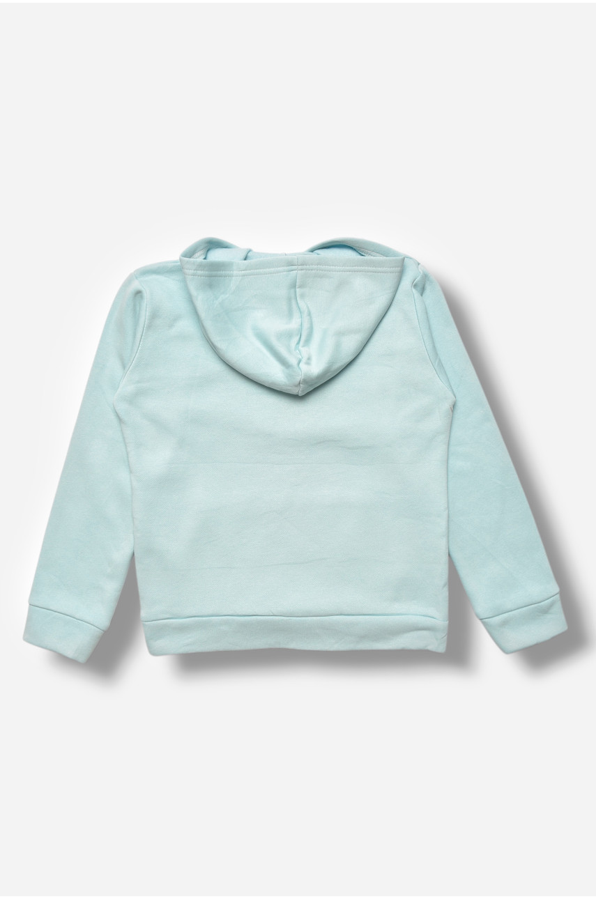 Свитшот детский для мальчика на флисе голубого цвета 307 205996