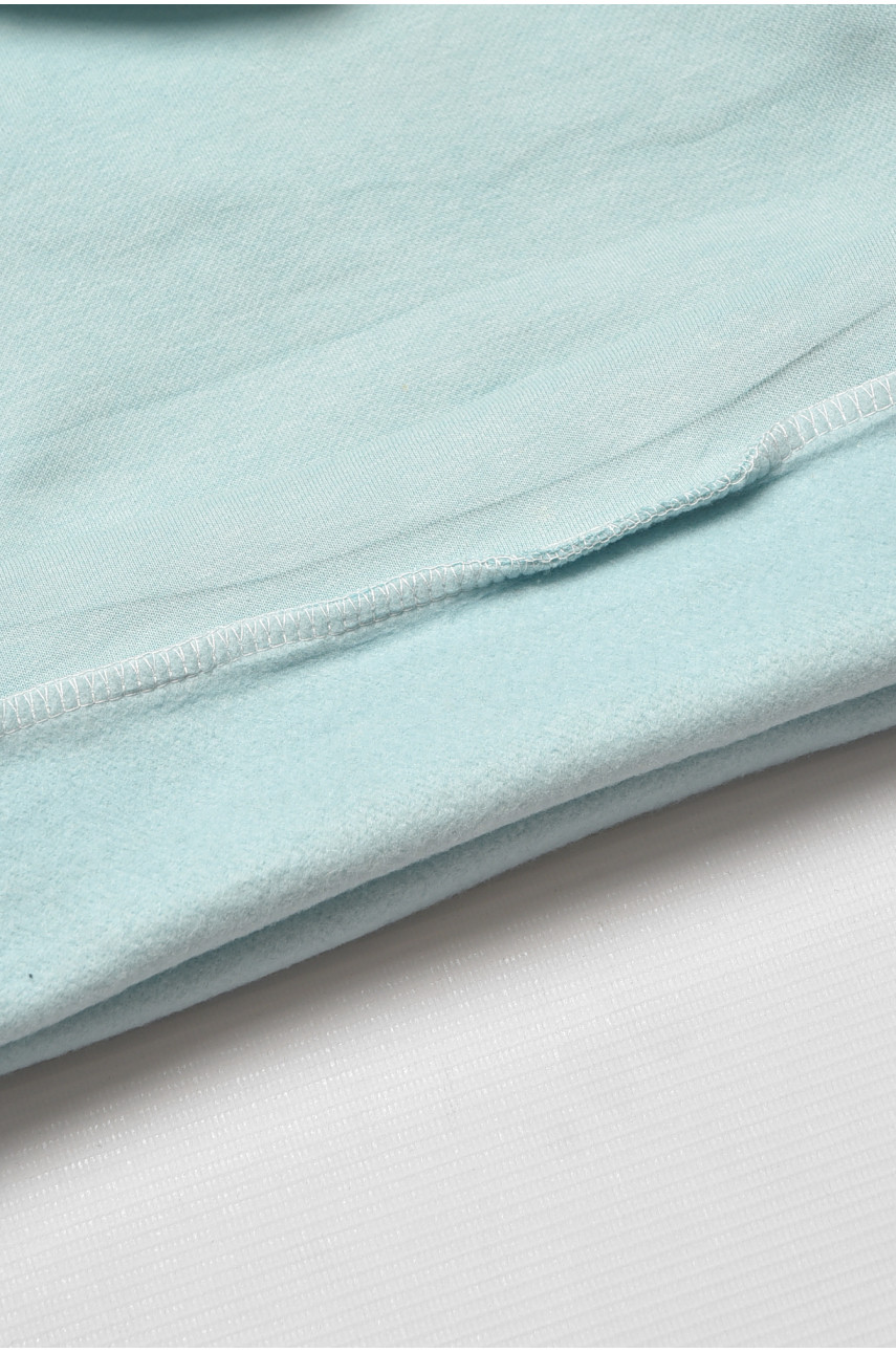 Свитшот детский для мальчика на флисе голубого цвета 307 205996