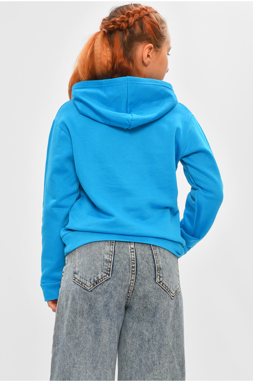 Свитшот детский для девочки на флисе голубого цвета 201 206024 Свитшот детский для девочки на флисе голубого цвета 201 206024