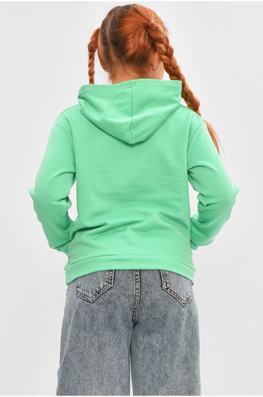 Свитшот детский для девочки на флисе зеленого цвета 201 206025