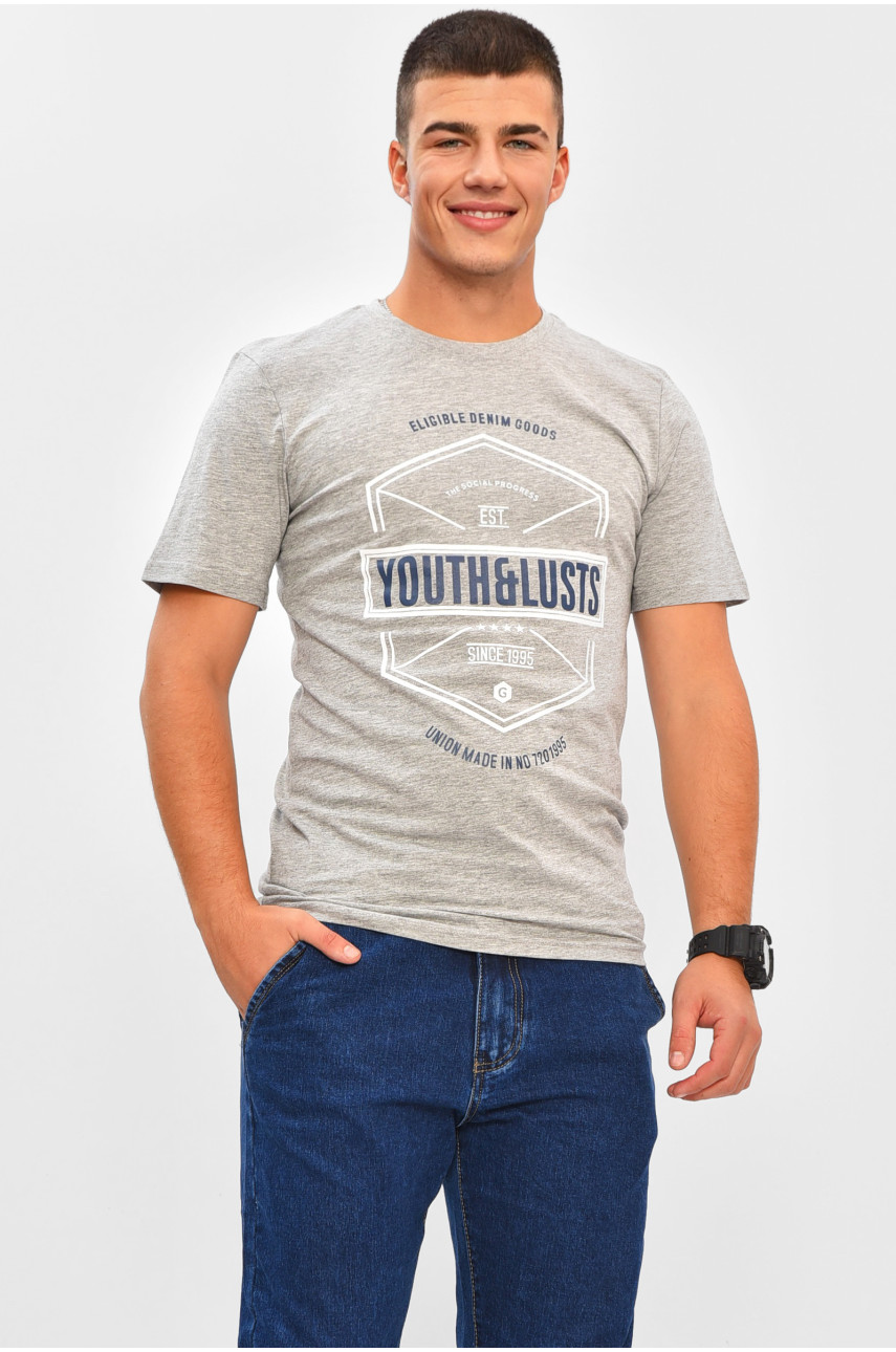 Футболка мужская серого цвета с принтом МРО0187 206345