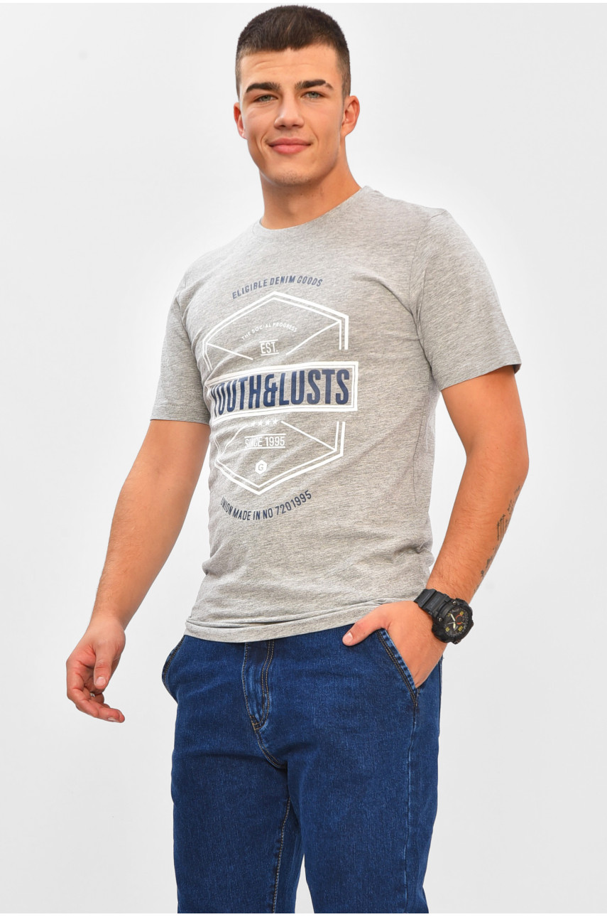Футболка мужская серого цвета с принтом МРО0187 206345