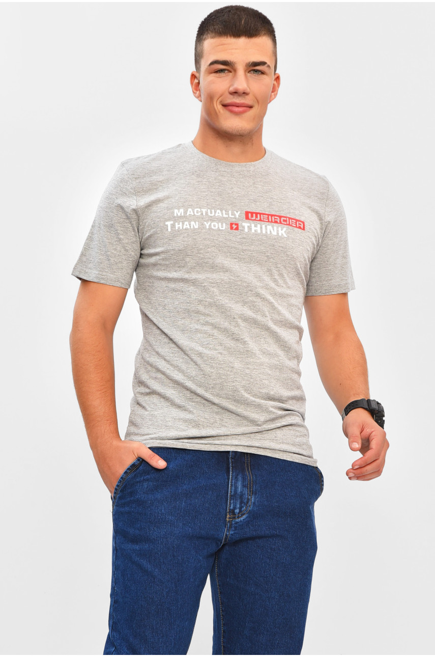 Футболка мужская серого цвета с принтом 206348