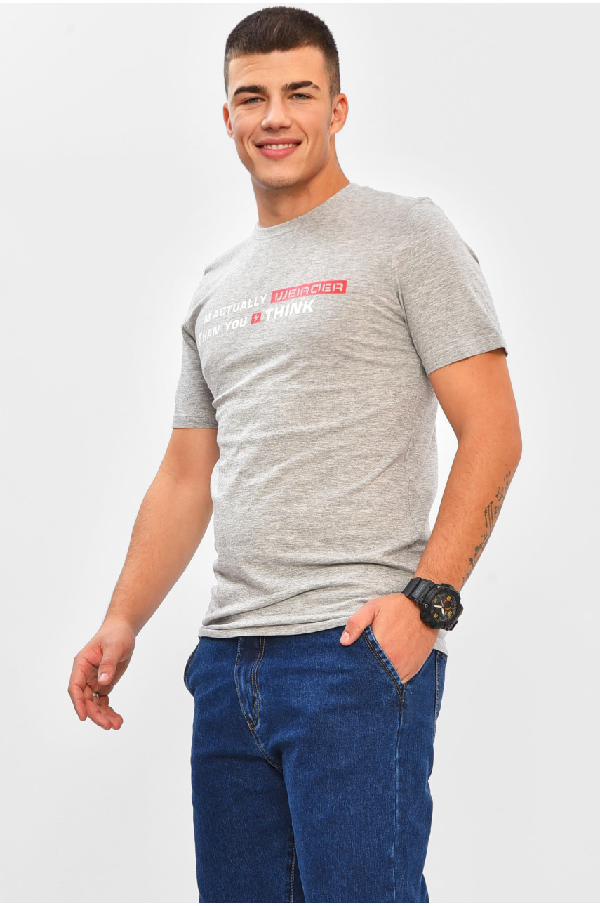Футболка мужская серого цвета с принтом 206348