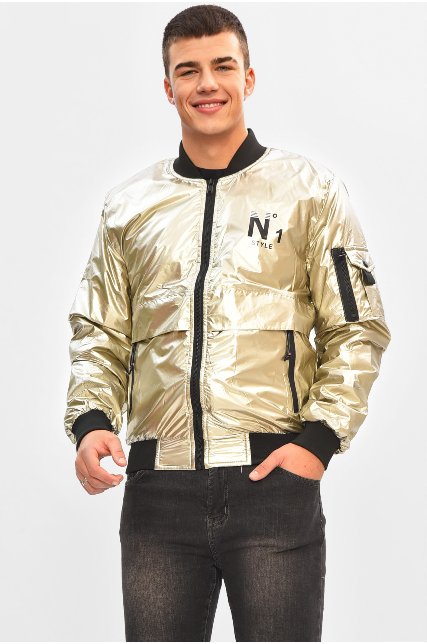 Ветровка мужская демисезонная серого цвета 3108 206528