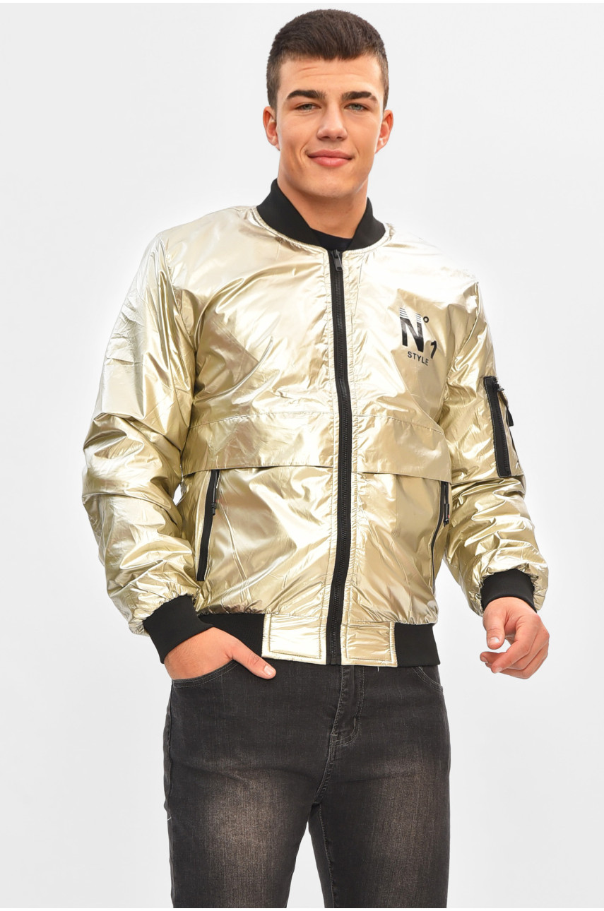 Ветровка мужская демисезонная серого цвета 3108 206528