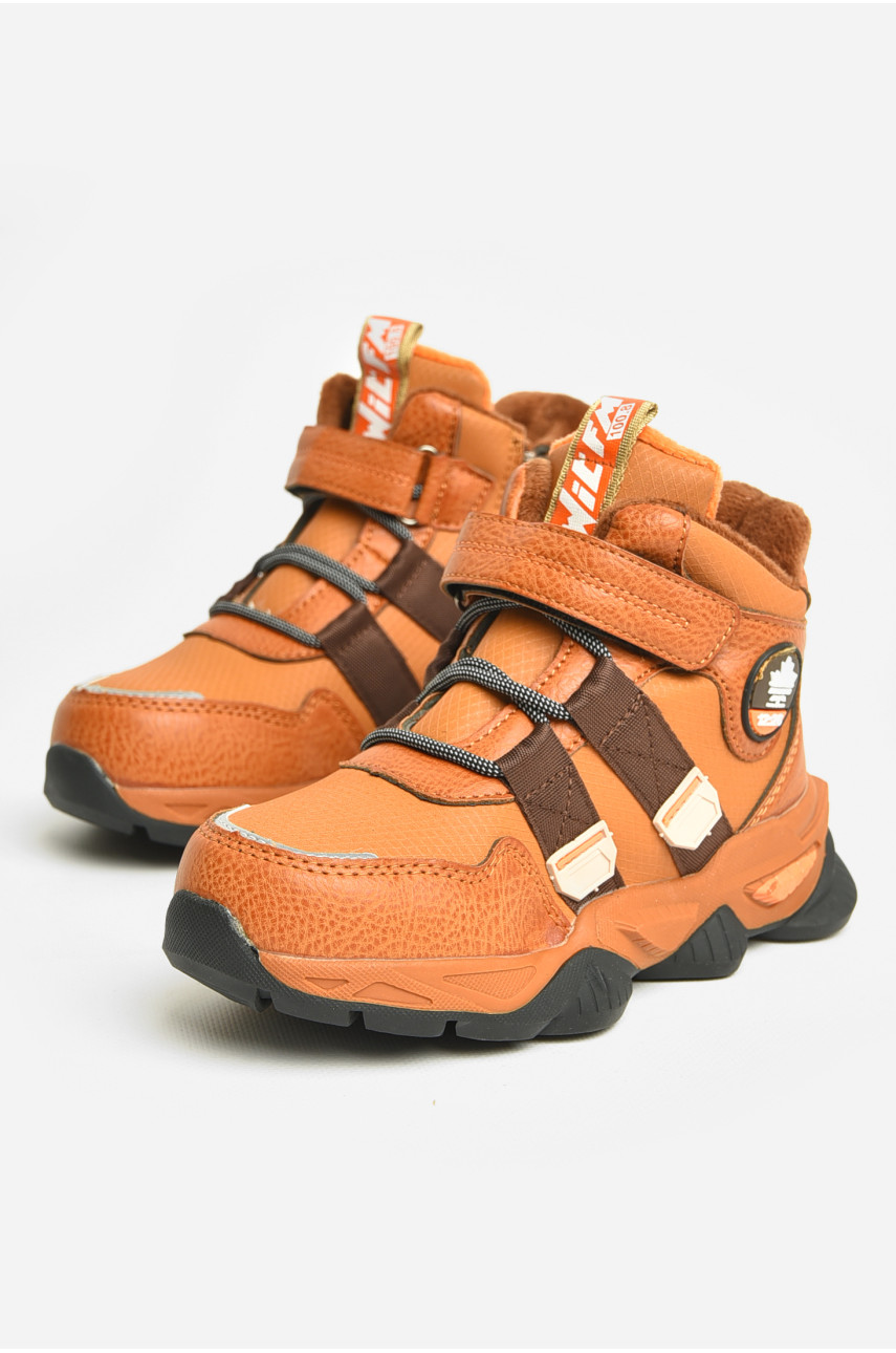 Ботинки детские демисезонные коричневого цвета В5026-5 206636