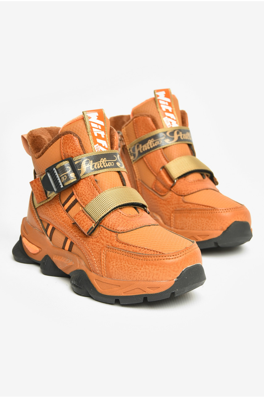 Ботинки детские демисезонные коричневого цвета В5028-5 206638