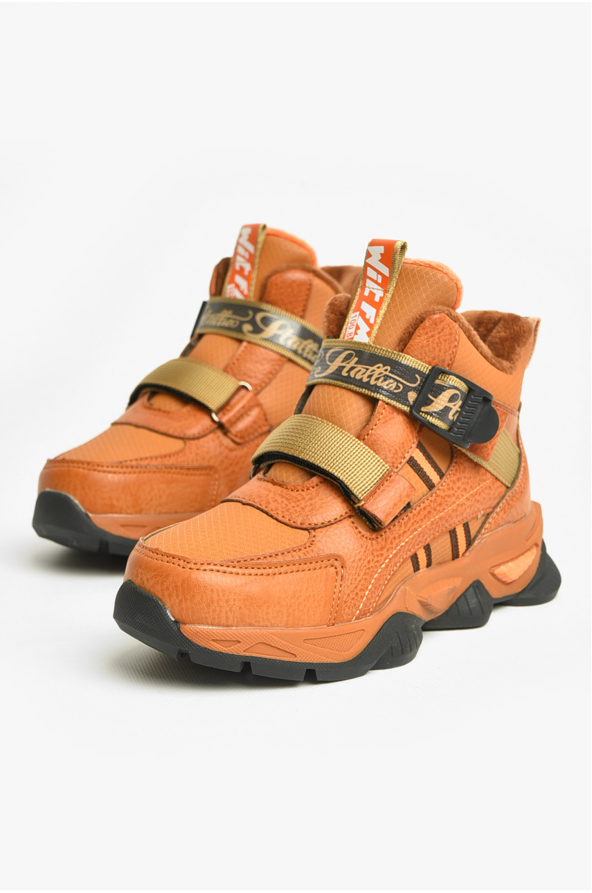 Ботинки детские демисезонные коричневого цвета В5028-5 206638