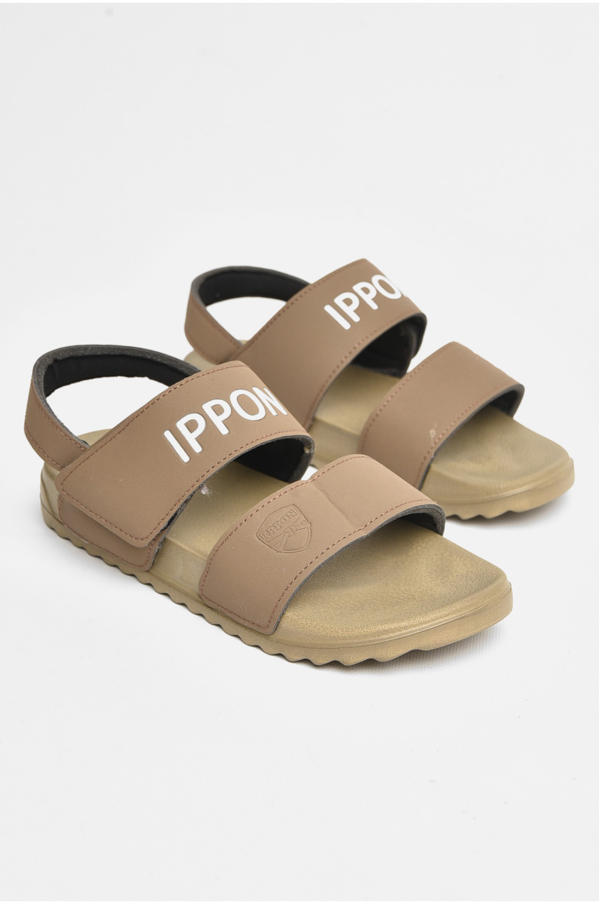 Сандалі жіночі коричневого кольору 2211 206663