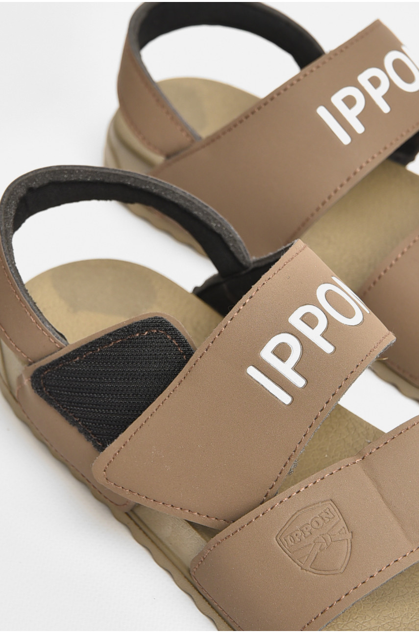 Сандалі жіночі коричневого кольору 2211 206663