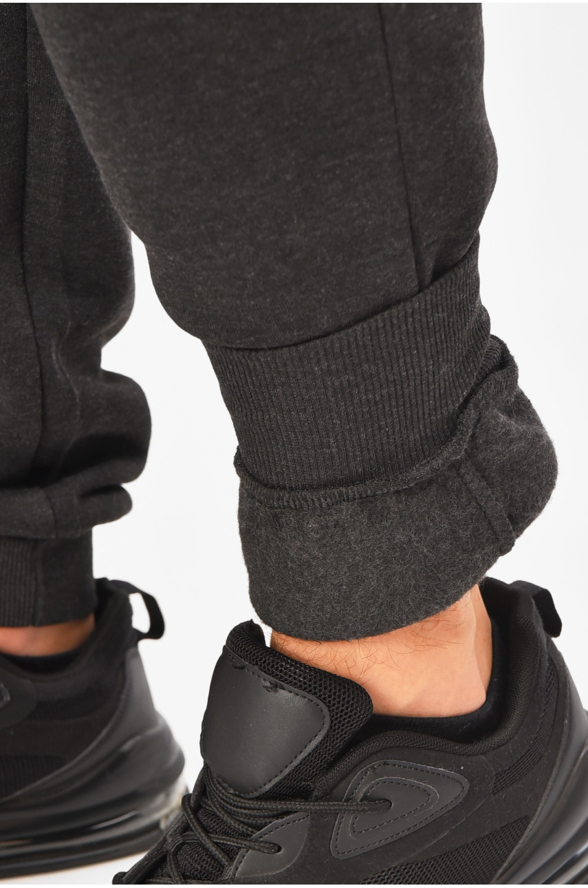 Спортивные штаны мужские на флисе темно-серого цвета L-6721 206823