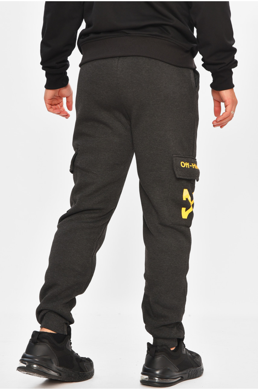 Спортивные штаны мужские на флисе темно-серого цвета L-6723 206828 Спортивные штаны мужские на флисе темно-серого цвета L-6723 206828