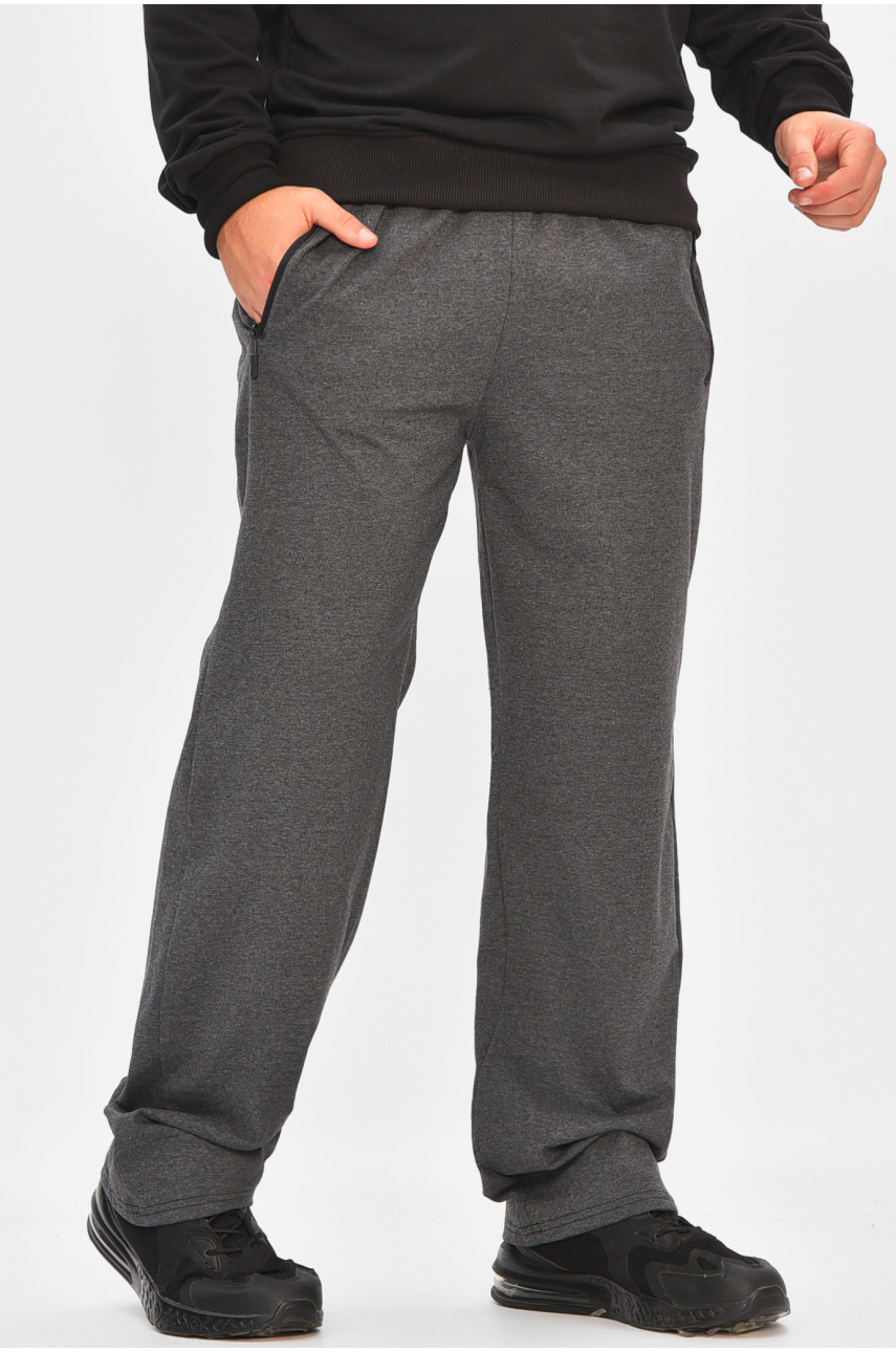 Спортивные штаны мужские серого цвета 41277 206939