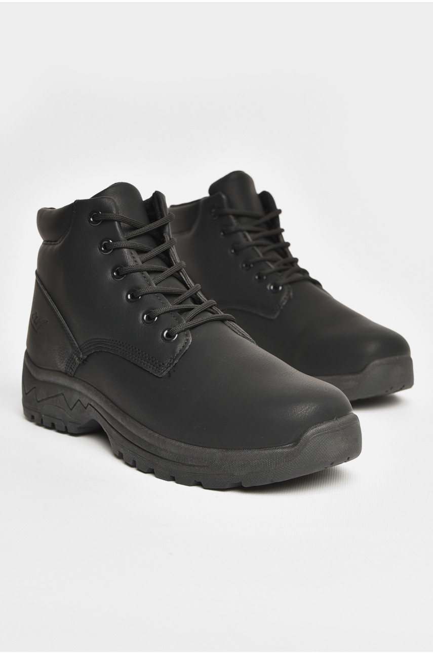 Ботинки мужские зимние на меху черного цвета LL120-1 207298