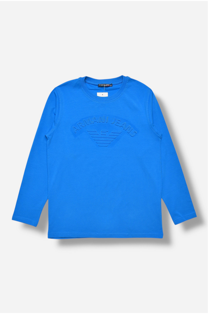 Кофта детская для мальчика синего цвета 10153 207499