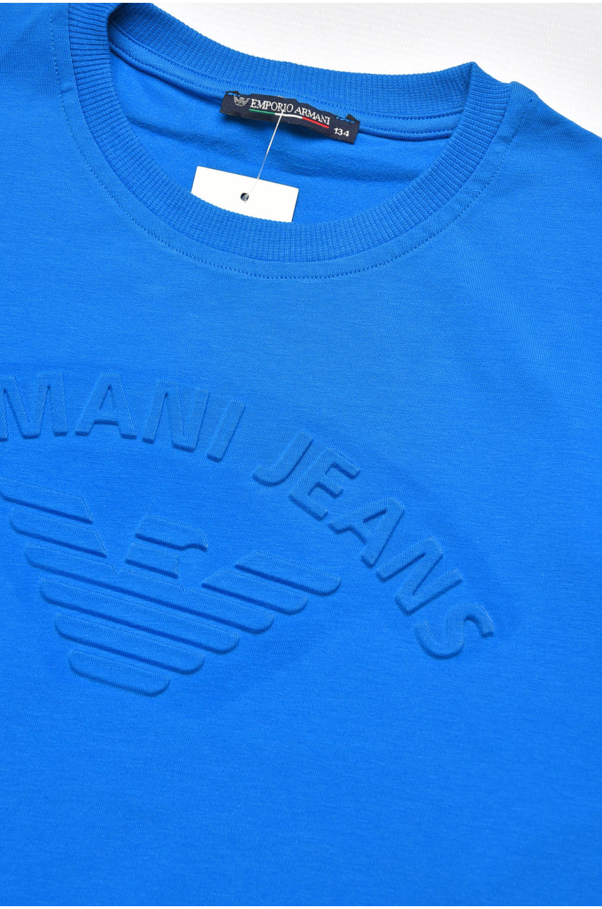 Кофта детская для мальчика синего цвета 10153 207499