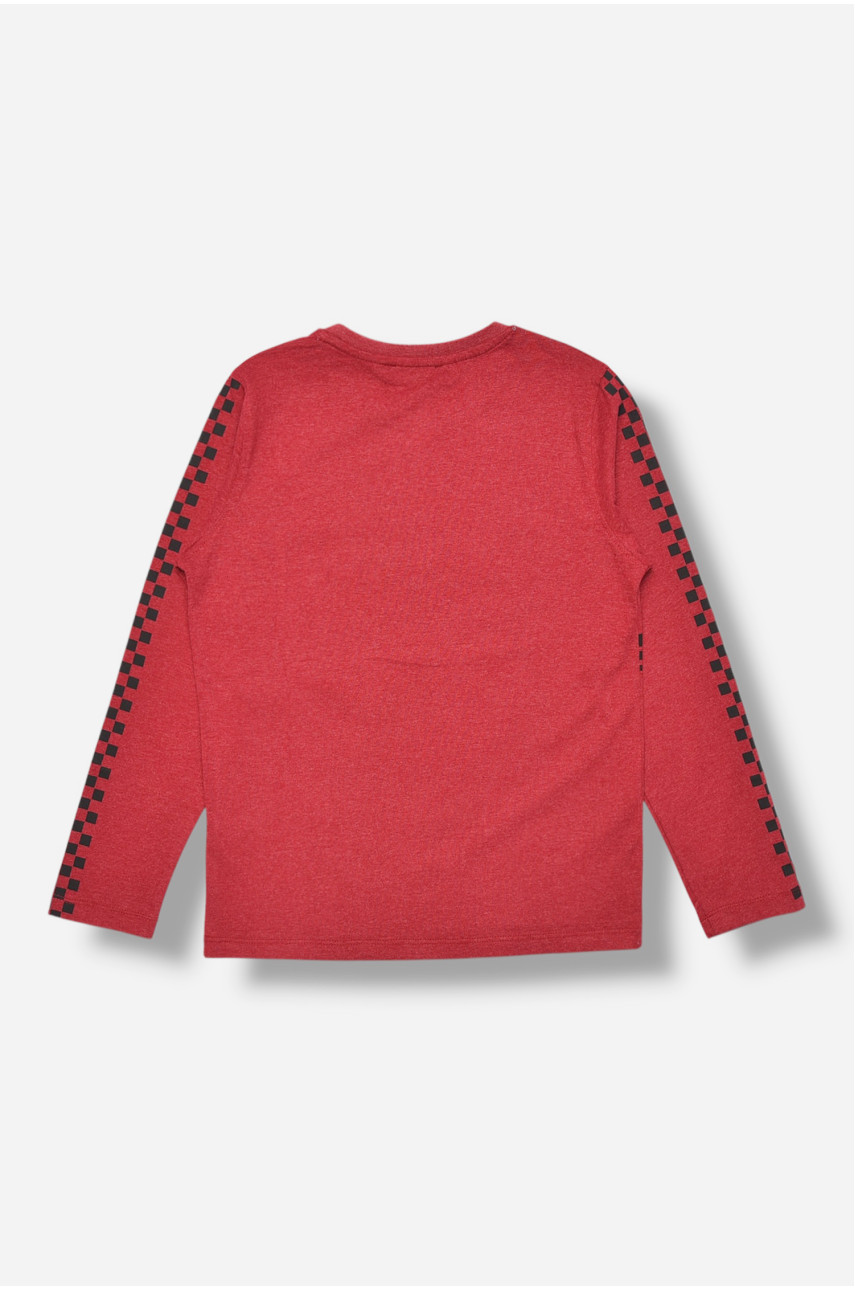 Кофта детская для мальчика бордового цвета с принтом 14008 207512