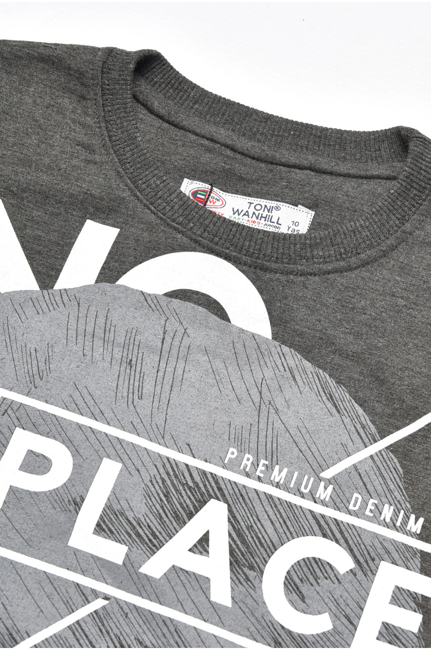 Кофта подростковая для мальчика серого цвета с принтом 1066 207578