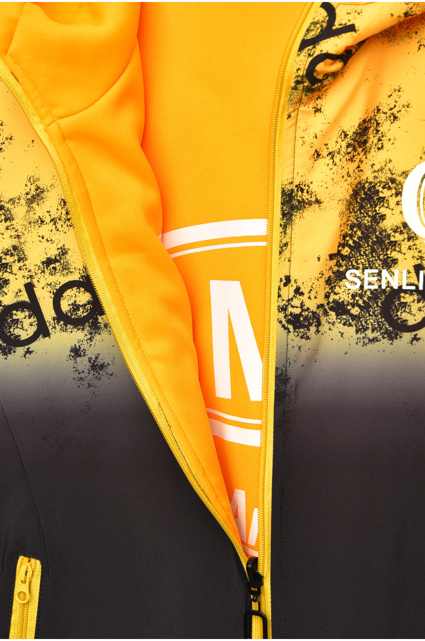 Куртка для мальчика демисезонная черного цвета с принтом 21А-29 207894