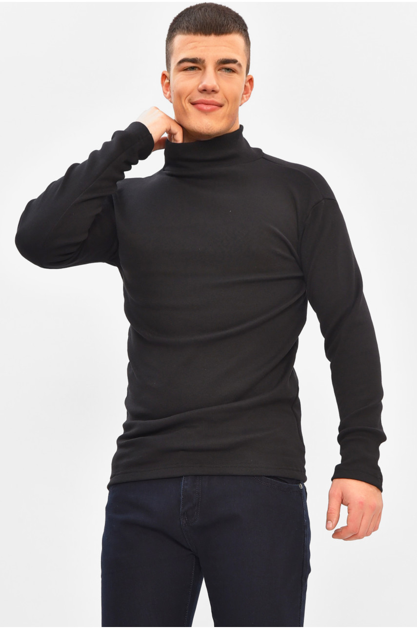 Гольф мужской однотонный на флисе черного цвета 1851 208135