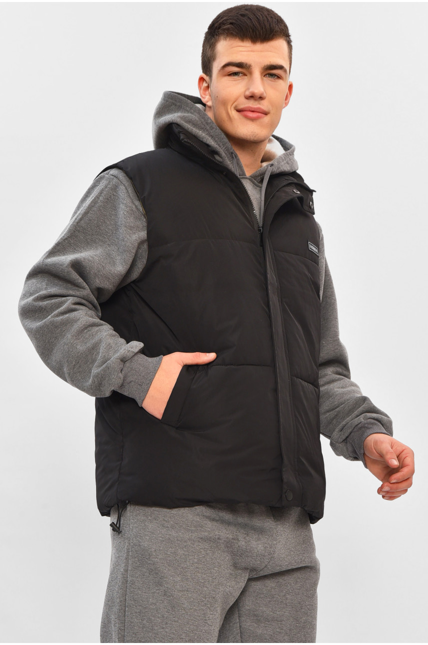 Жилетка мужская демисезонная черного цвета b-1 208538