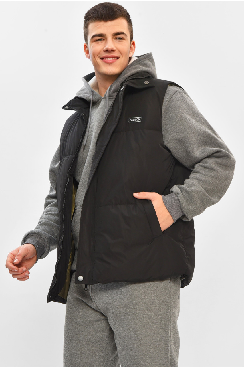 Жилетка мужская демисезонная черного цвета b-1 208540