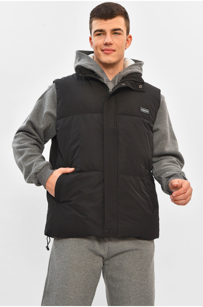 Жилетка мужская демисезонная черного цвета b-1 208540