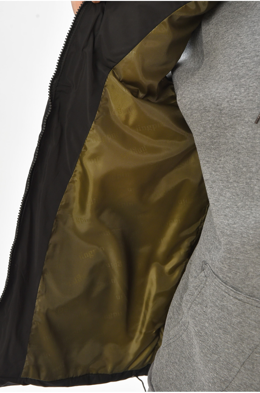 Жилетка мужская демисезонная черного цвета b-1 208540