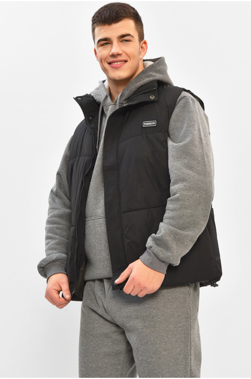 Жилетка мужская демисезонная черного цвета b-1 208541