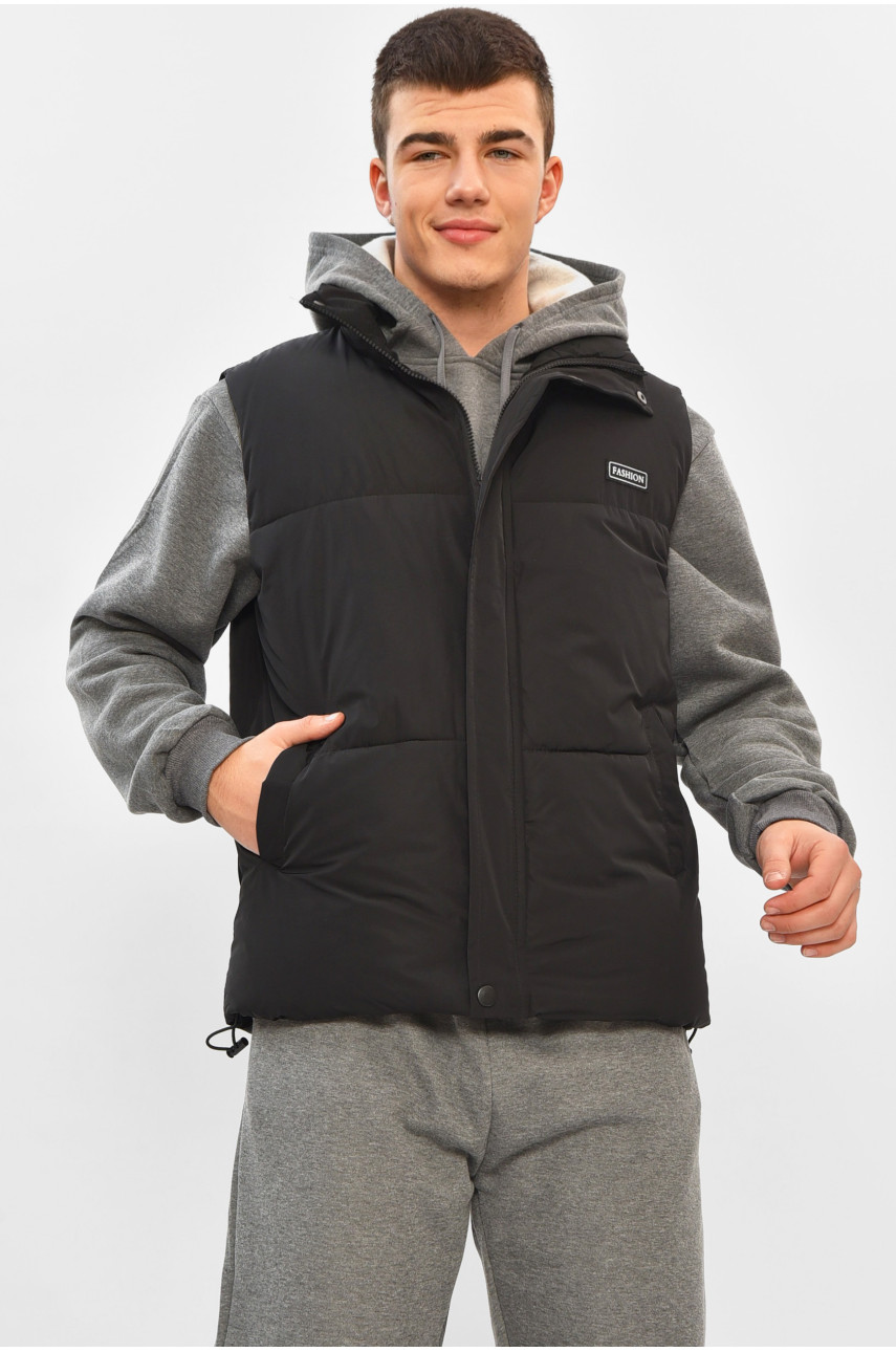 Жилетка мужская демисезонная черного цвета b-1 208541