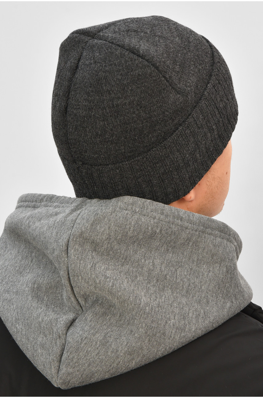 Шапка мужская на флисе серого цвета 208578