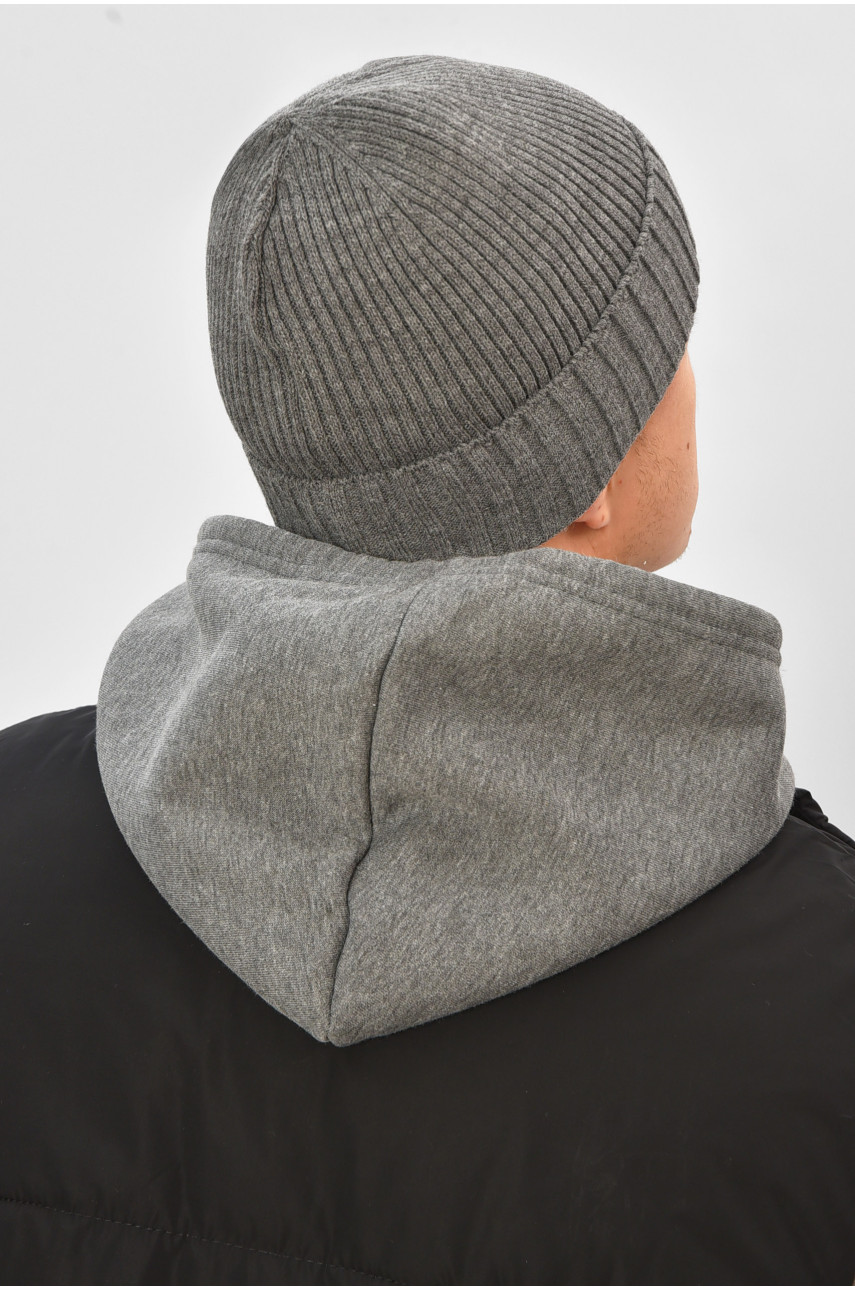 Шапка мужская на флисе серого цвета 208580