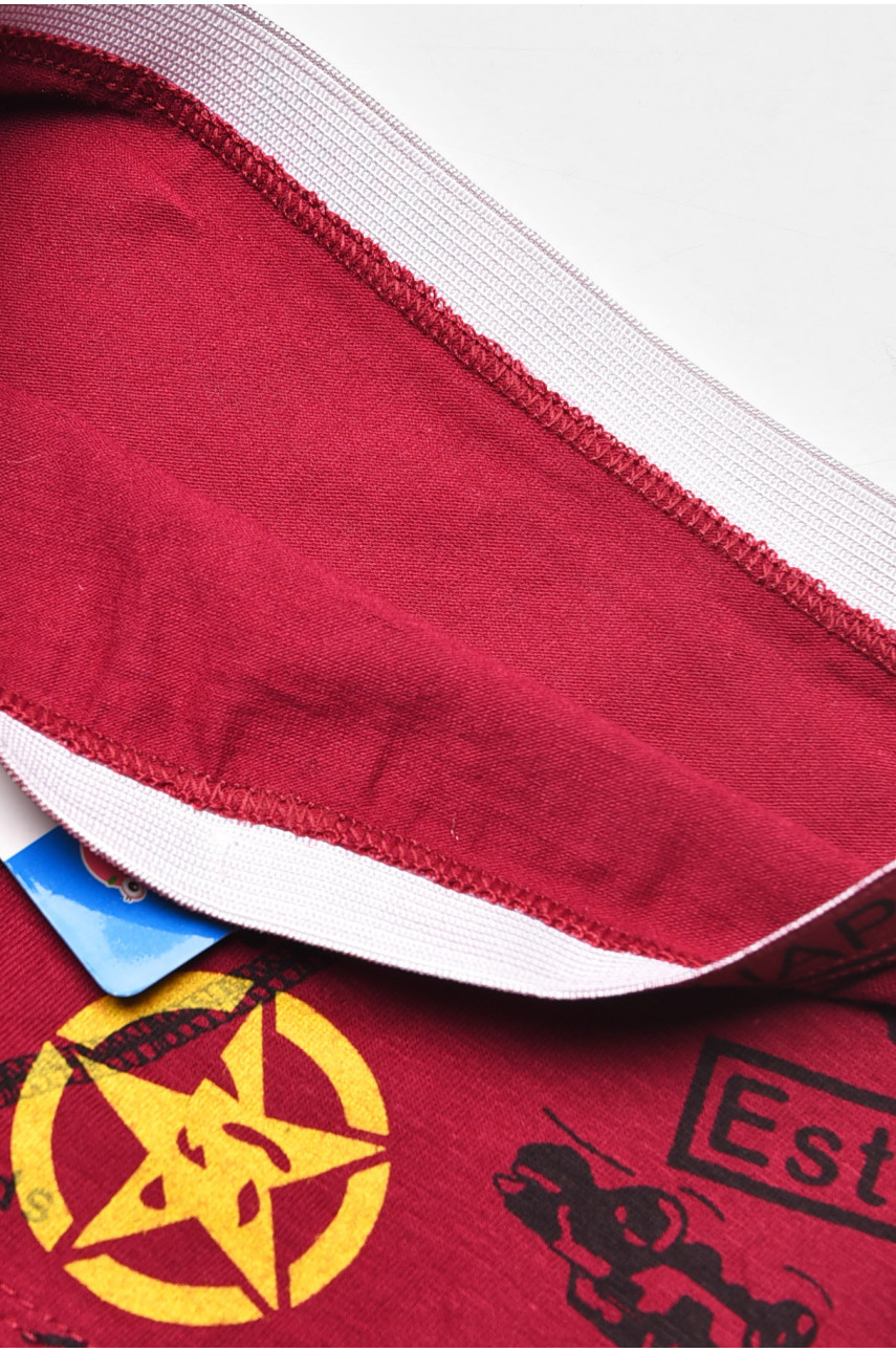 Боксеры детские для мальчика бордового цвета с принтом 8231 208898