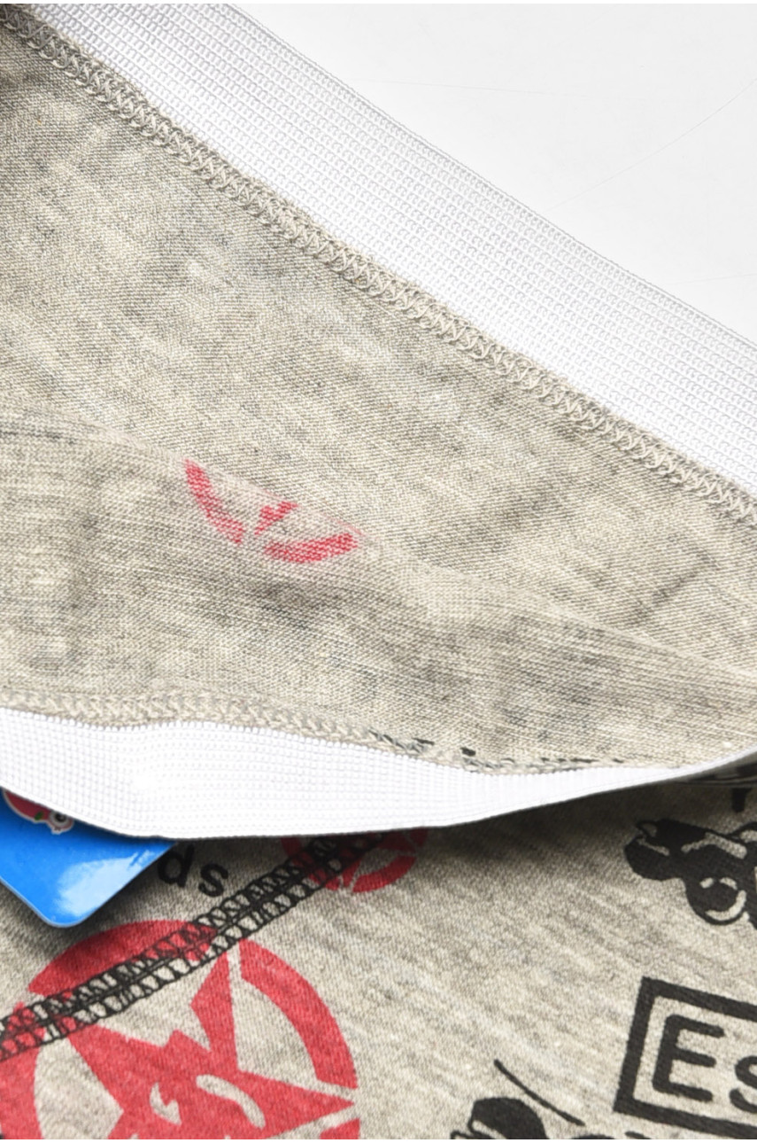 Боксеры детские для мальчика серого цвета с принтом 8231 208900