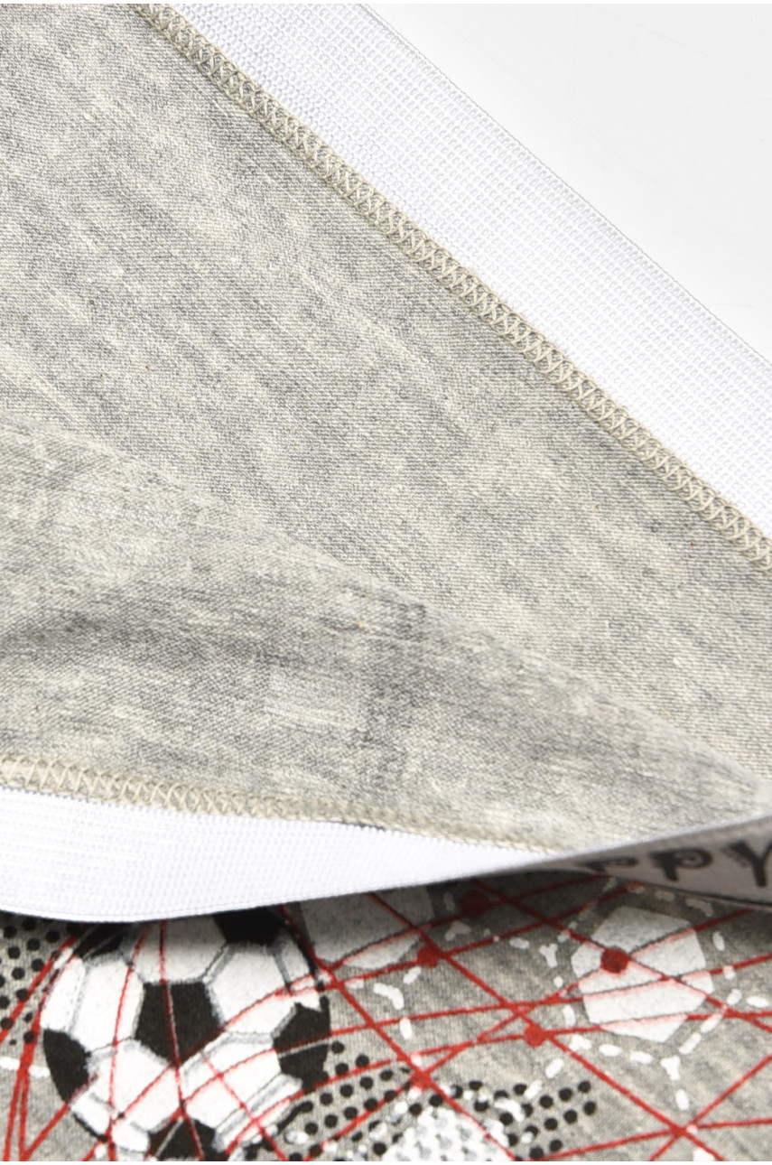 Боксеры детские для мальчика серого цвета с принтом Z02102 208903