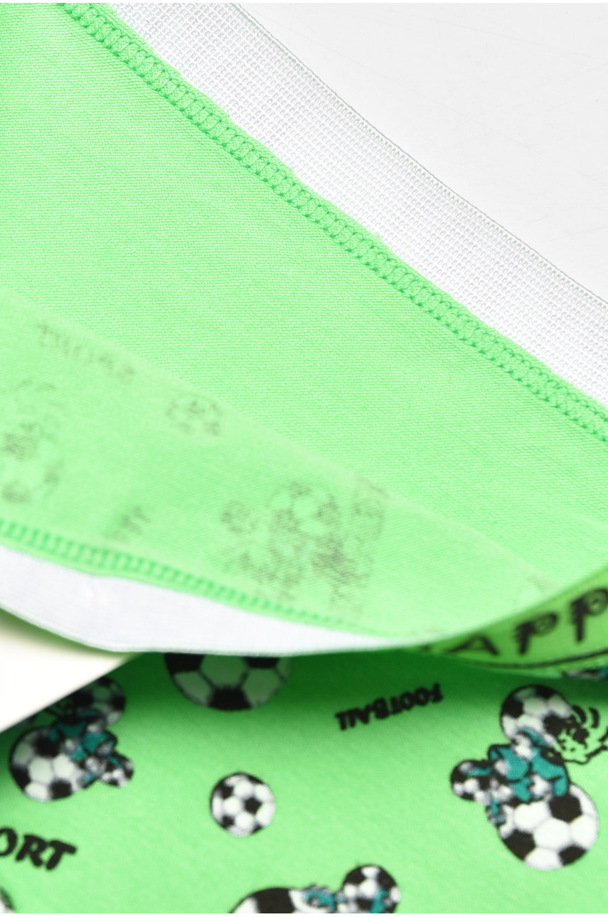 Боксеры детские для мальчика зеленого цвета с принтом Z02201 208910