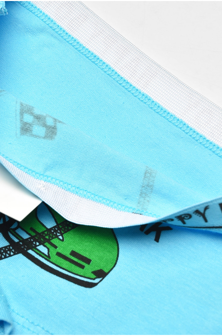 Боксеры детские для мальчика голубого цвета с принтом Z02203 208916