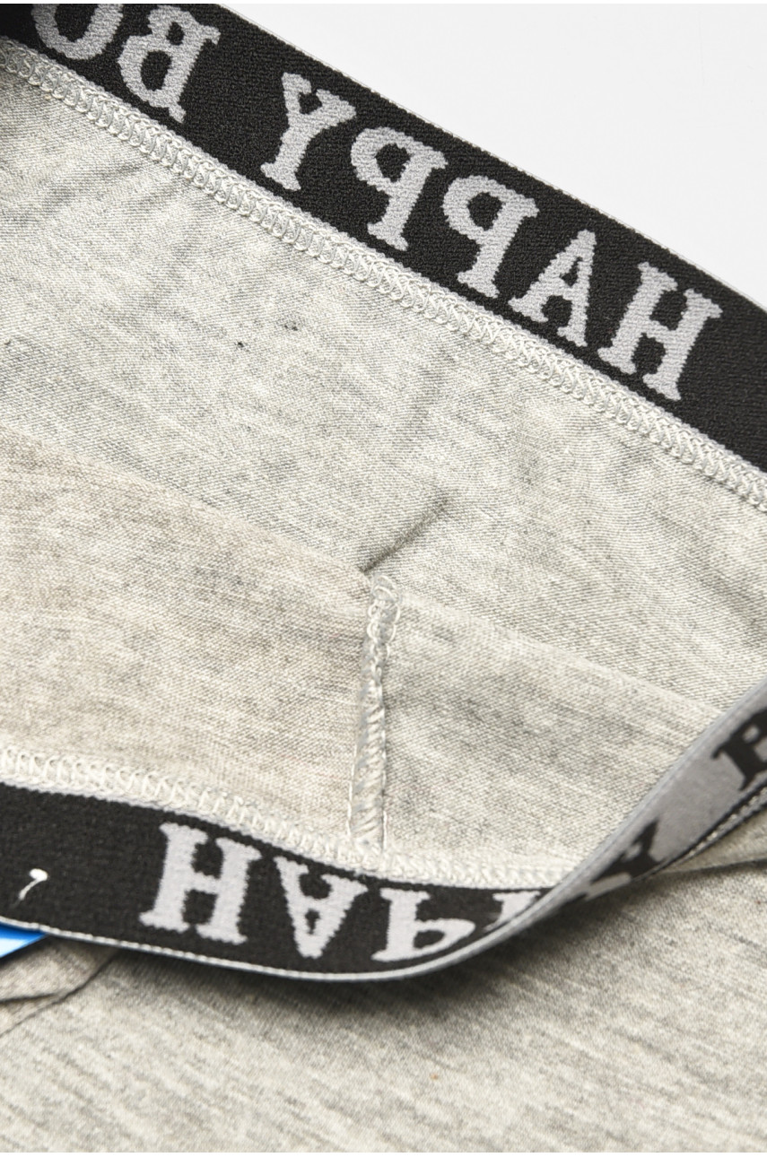 Боксеры детские для мальчика серого цвета СX8237 208924