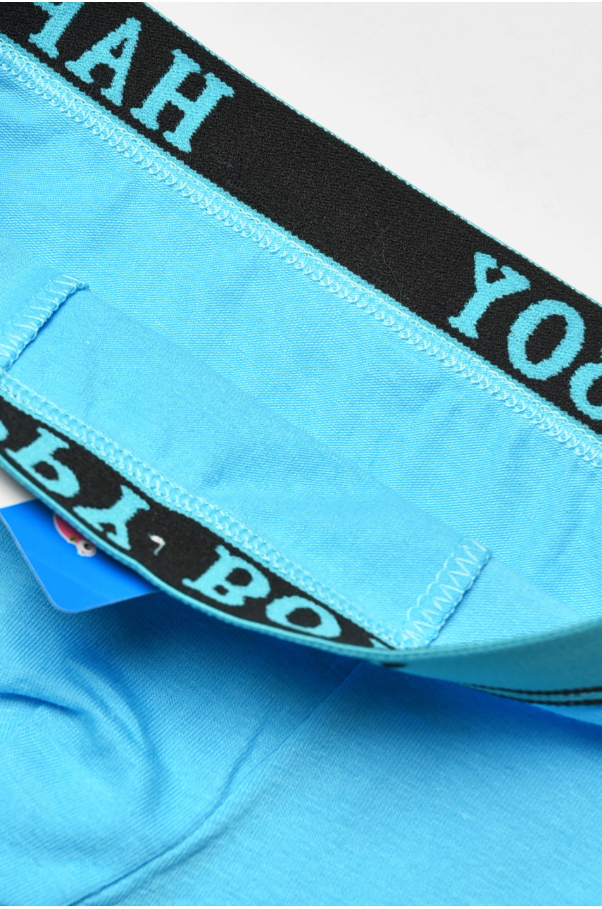 Боксеры детские для мальчика голубого цвета СX8237 208925