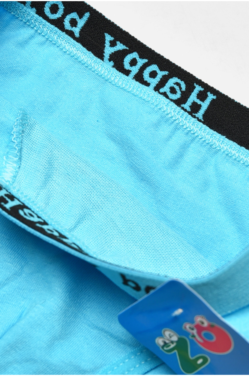 Трусики детские для мальчика голубого цвета с принтом ZM8310 208928