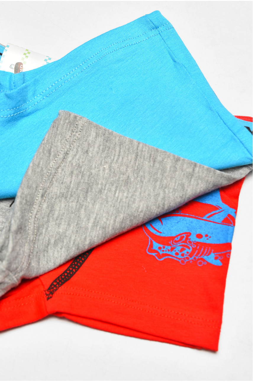 Комплект боксеров детских для мальчика 3 шт X9052 208932