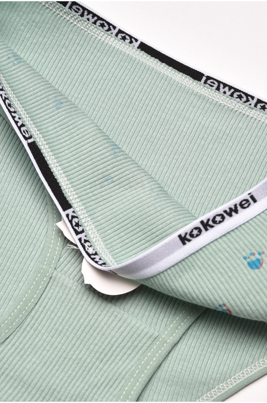 Трусики детские для девочки зеленого цвета с принтом X7851 209226 Трусики детские для девочки зеленого цвета с принтом X7851 209226